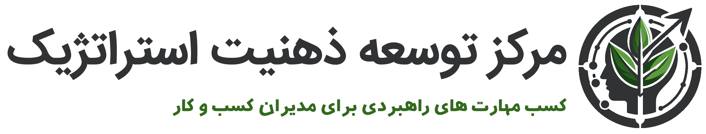 وب سایت قدرت ذهنیت استراتژیک در مدیران کسب و کار ایرانی Strategic mindset